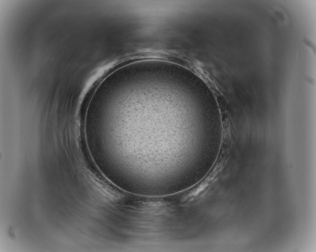 X0000098160342200804241809