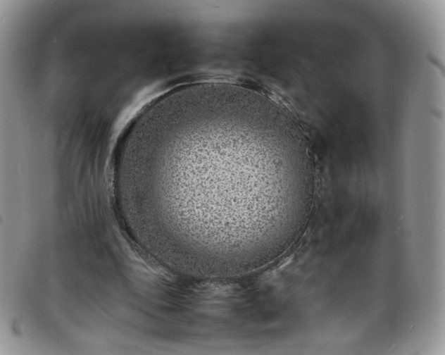 X0000098160343200804241809