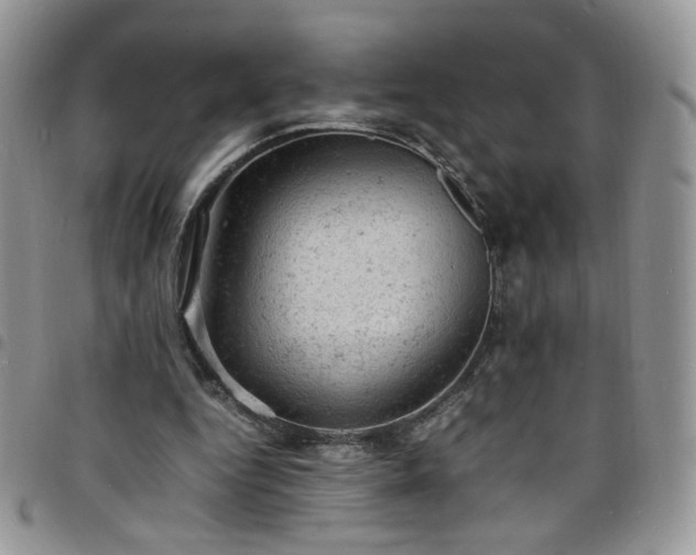 X0000098160344200804241809
