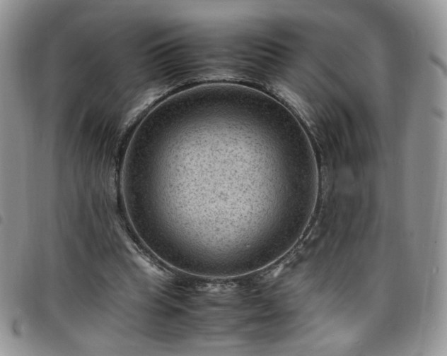 X0000098160345200804241809