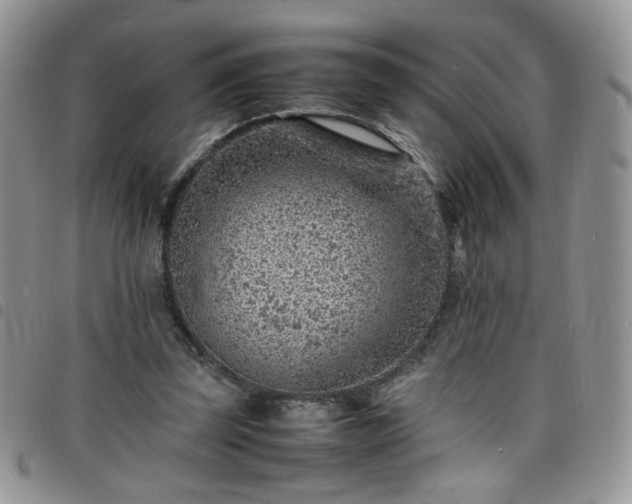 X0000098160347200804241809