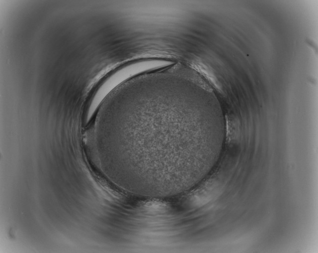 X0000098160348200804241809