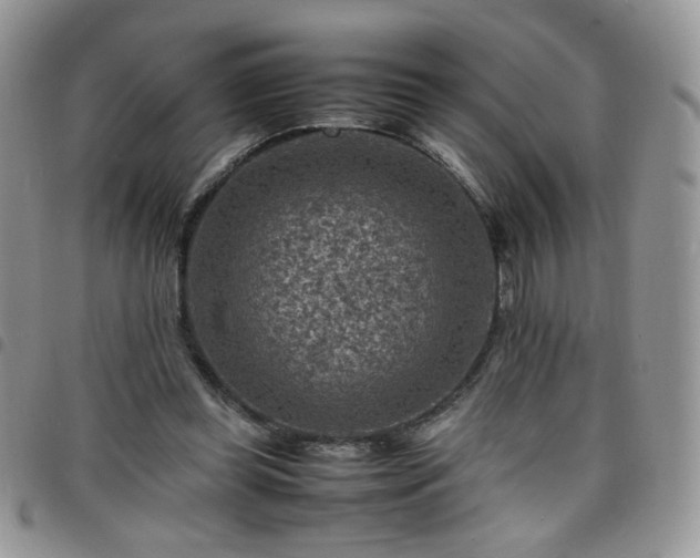 X0000098160349200804241809