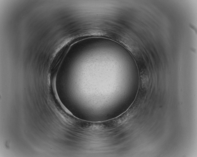 X0000098160350200804241809