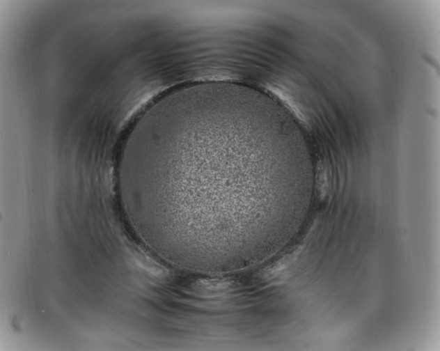 X0000098160351200804241809