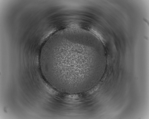 X0000098160353200804241809