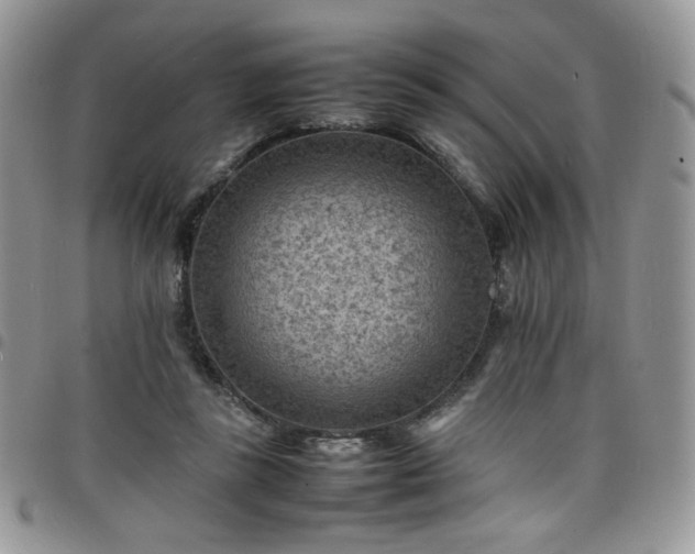 X0000098160355200804241809
