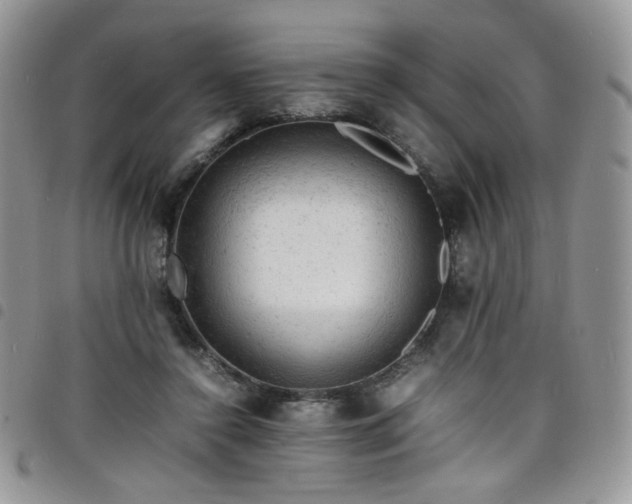 X0000098160356200804241809