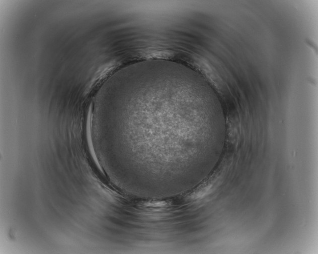 X0000098160357200804241809