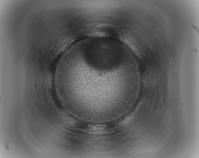 X0000098160359200804241809