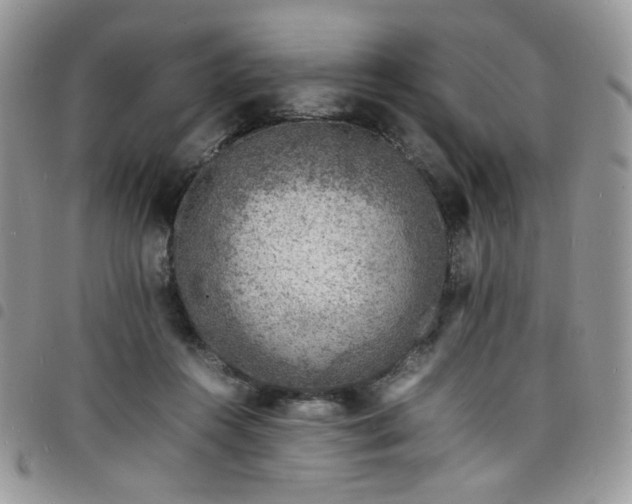 X0000098160360200804241809