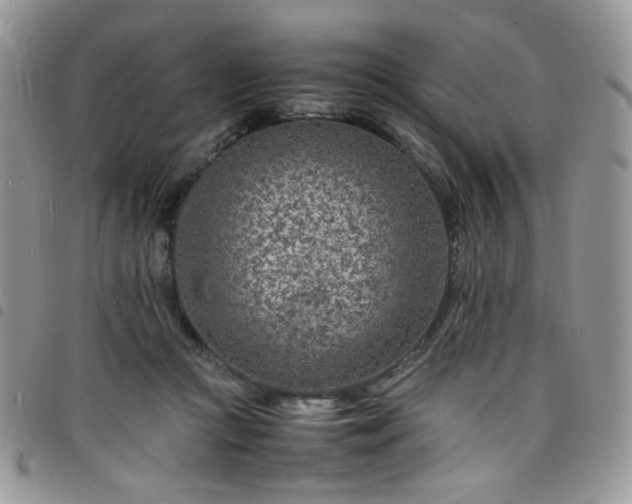 X0000098160361200804241809