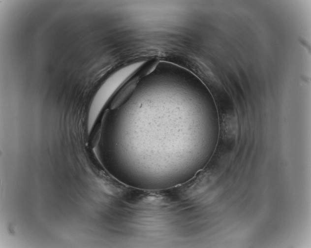 X0000098160364200804241809