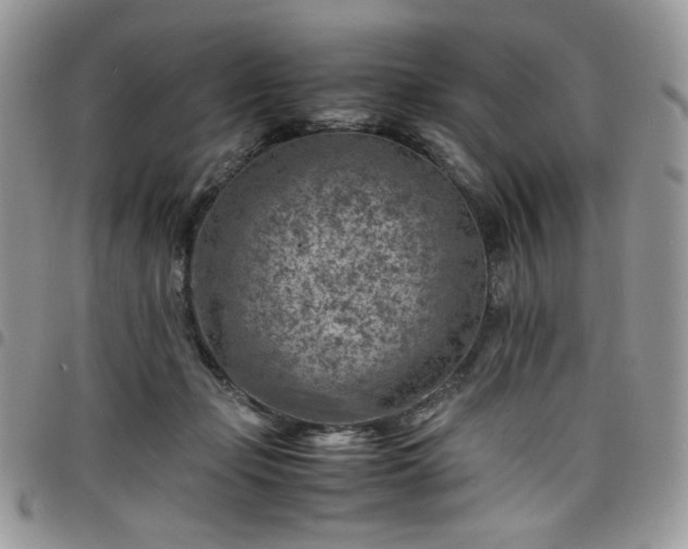 X0000098160365200804241809