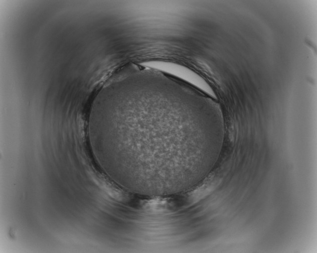X0000098160366200804241809