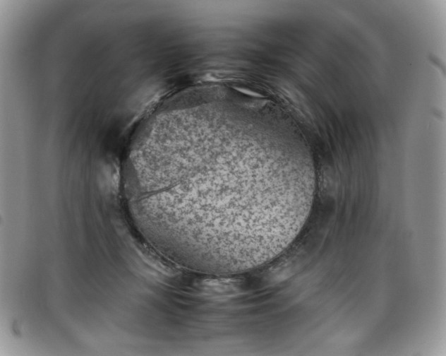 X0000098160367200804241809