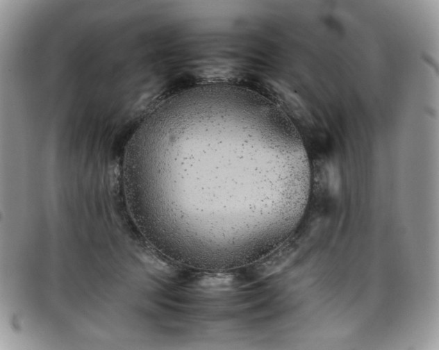 X0000098160369200804241809