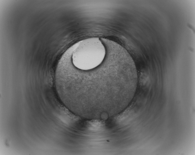 X0000098160370200804241809