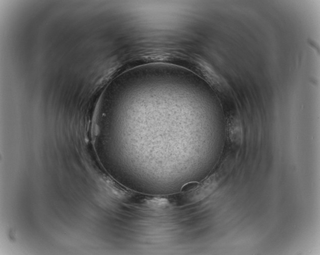 X0000098160374200804241809