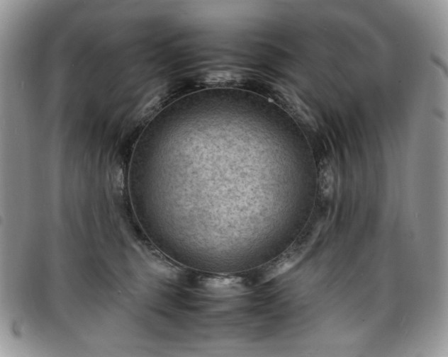 X0000098160375200804241809
