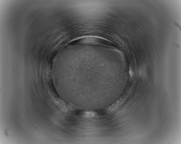 X0000098160376200804241809