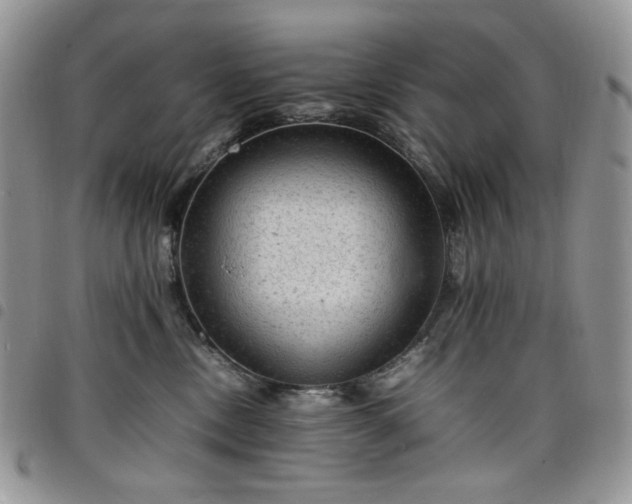 X0000098160378200804241809
