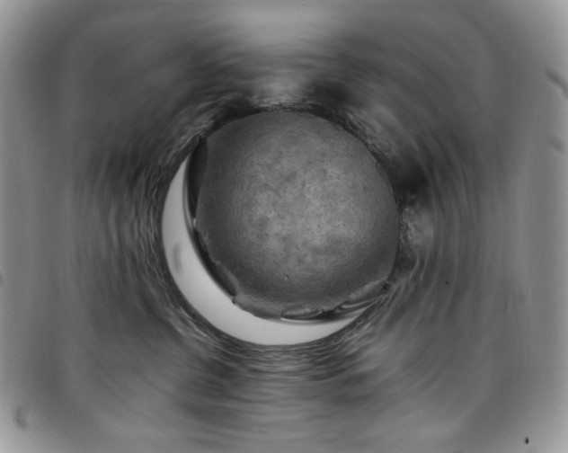 X0000098160380200804241809