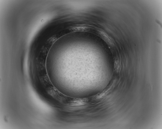 X0000098160381200804241809