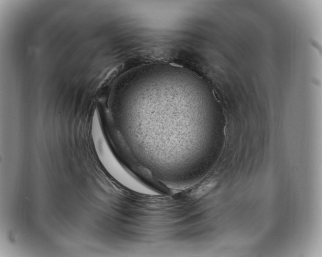 X0000098160384200804241809