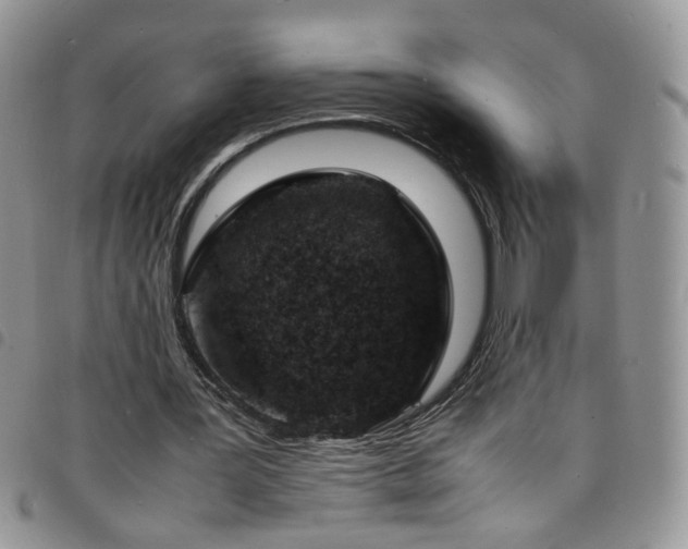 X0000098160387200804241808