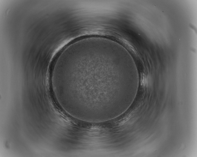 X0000098160388200804241808