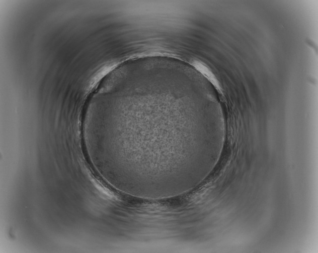 X0000098160389200804241808