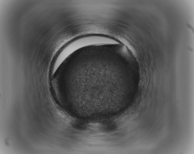 X0000098160391200804241808