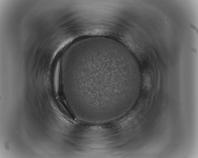 X0000098160392200804241808