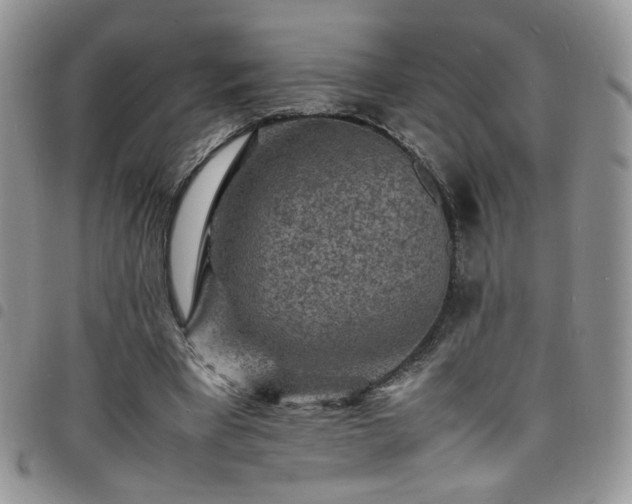 X0000098160393200804241808