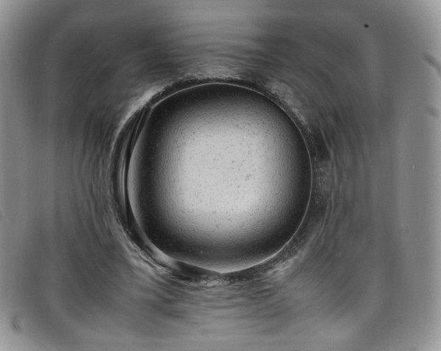 X0000098160395200804241808
