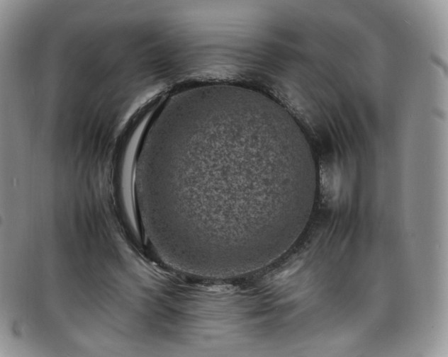 X0000098160396200804241808