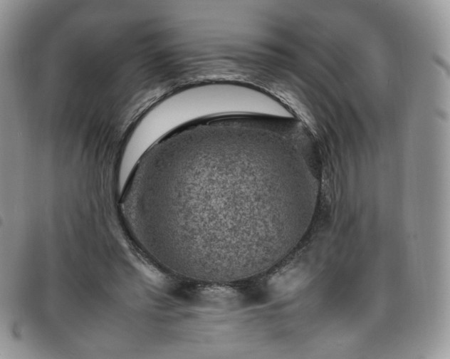 X0000098160397200804241808