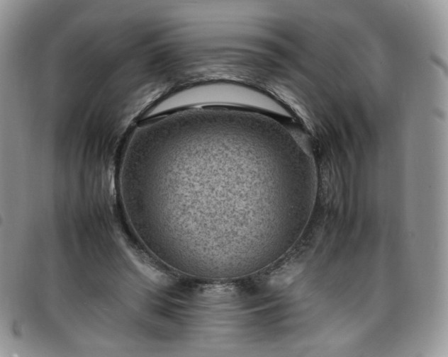X0000098160398200804241808