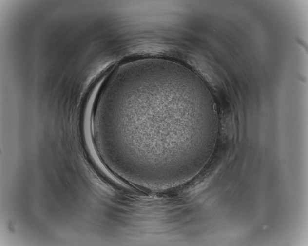 X0000098160399200804241808