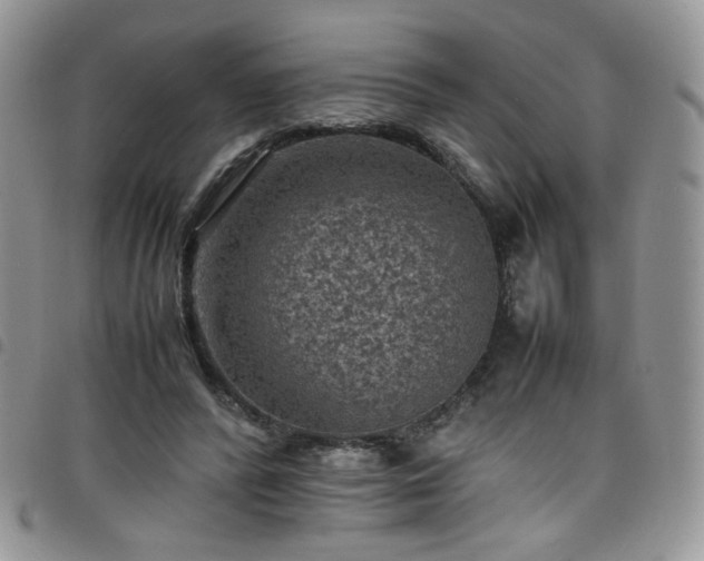 X0000098160400200804241808