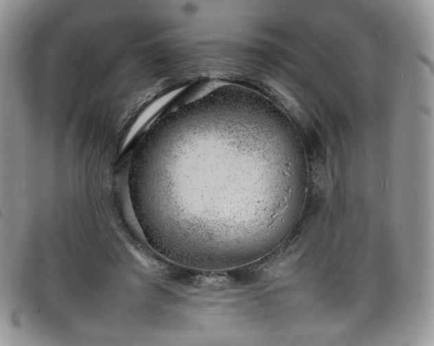 X0000098160401200804241808