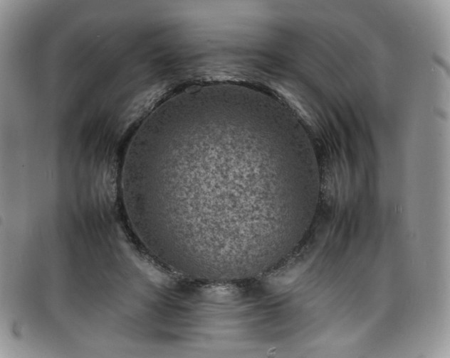 X0000098160402200804241808