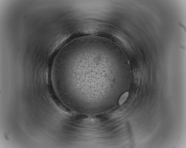 X0000098160404200804241808