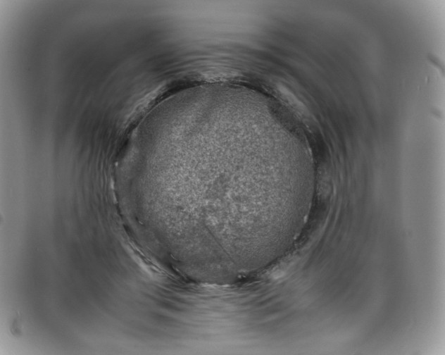 X0000098160405200804241808
