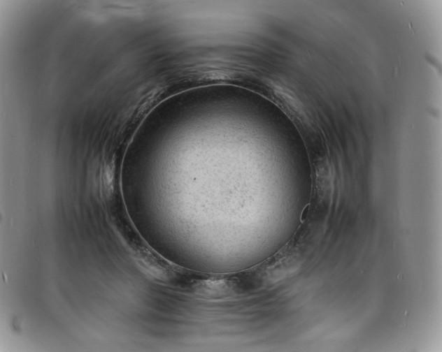 X0000098160406200804241808