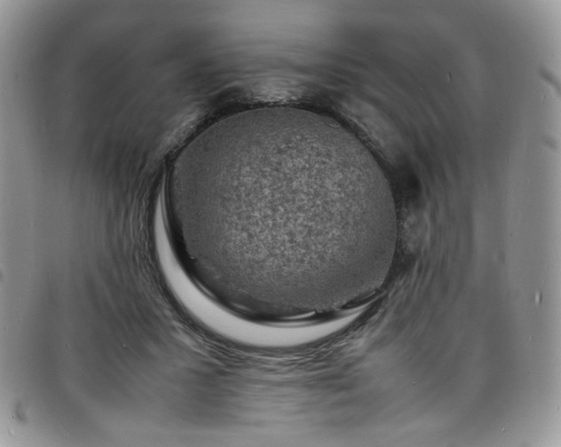 X0000098160407200804241808