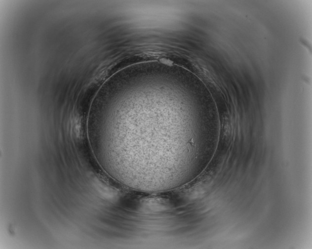 X0000098160408200804241808