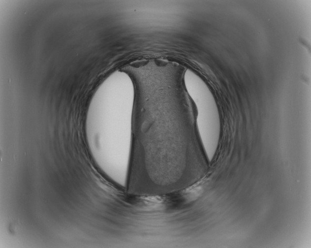X0000098160409200804241808