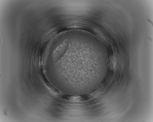 X0000098160410200804241808